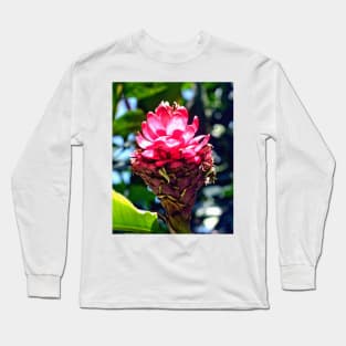 Pink Ginger Tropical Flower Plant Long Sleeve T-Shirt